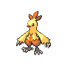 Base Shiny